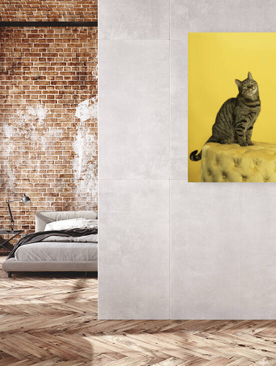 Tabby cat in a yellow studio setting with yellow puf by Leoniek Van Der Vliet