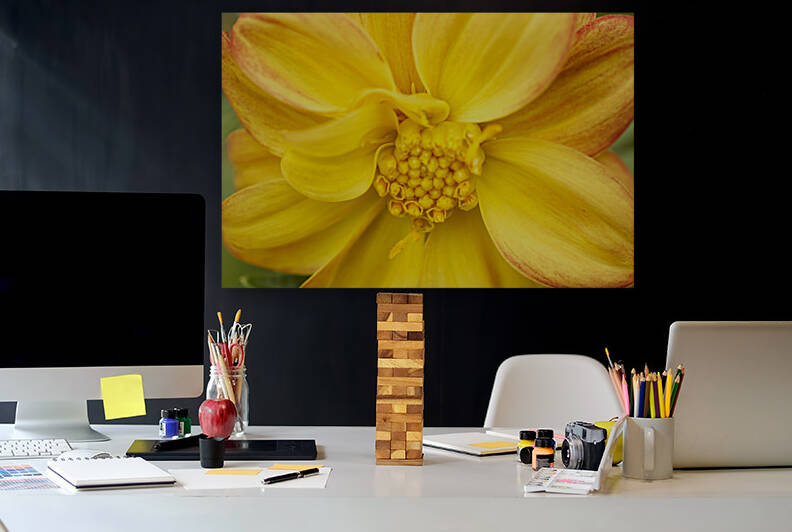 Orange Yellow Dahlia Macro by Iris H Richardson