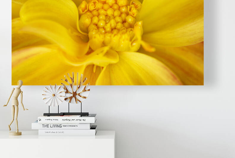 Orange Dahlia Macro Number 3  Abstract by Iris H Richardson