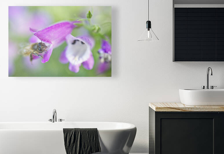 Honeybee on Pinto Beardtongue 2 by Iris H Richardson