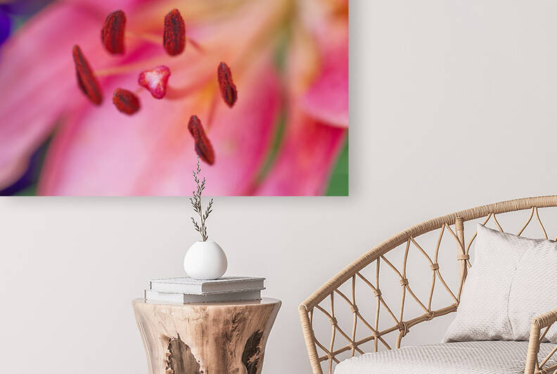 Pink Oriental Lily Stamen by Iris H Richardson