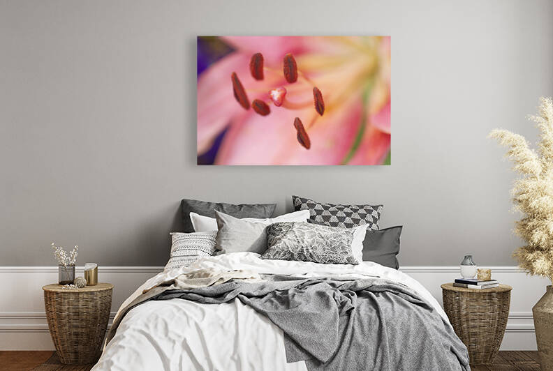 Pink Yellow Oriental Lily Stamen by Iris H Richardson