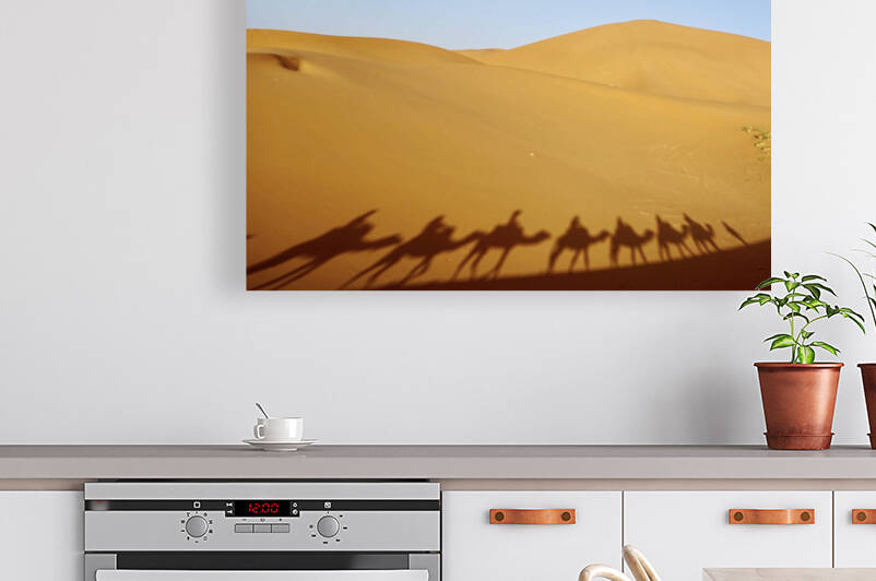 E11F784B FD01 4781 ADBF 681A35D75130 by Benjamin Martin