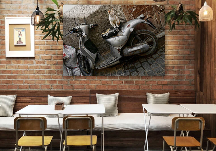 B74EA6CE AE05 4055 955E D665D2897B81 by Benjamin Martin