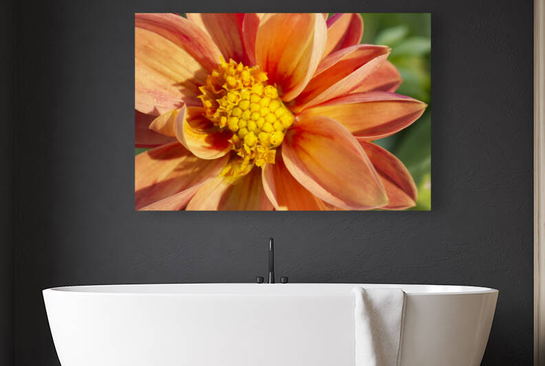 Bright orange-yellow dahlia flower. by Iris H Richardson