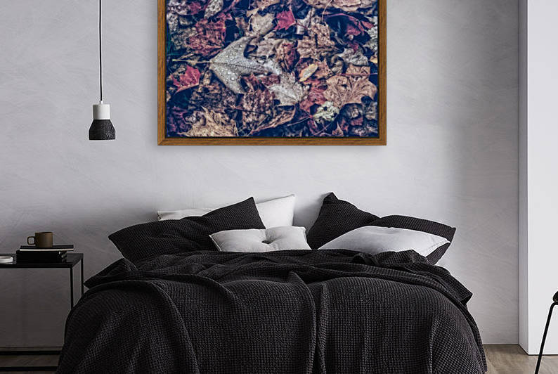 The Last of October by Michel Nadeau