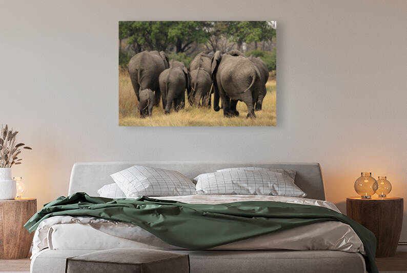 Elephants in the Okavango Delta by DirkR