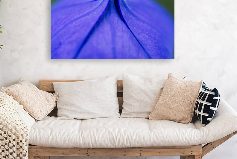 Balloon flower Blossom Top by Iris H Richardson