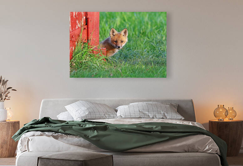 Who Are You by Deb Oppermann