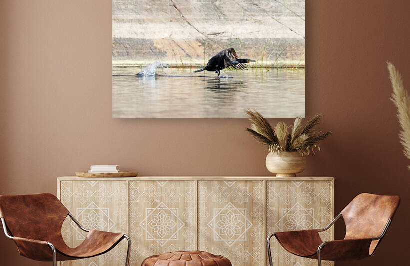 Cormorant On The Fly by Deb Oppermann