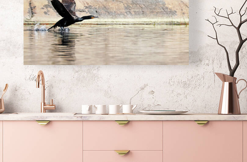 Cormorant Running On Water by Deb Oppermann