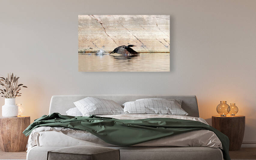 Cormorant Wing Dip by Deb Oppermann