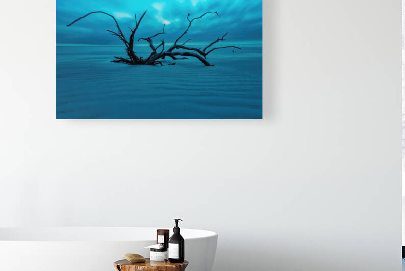 Jekyll Island by Ercan Ekinci