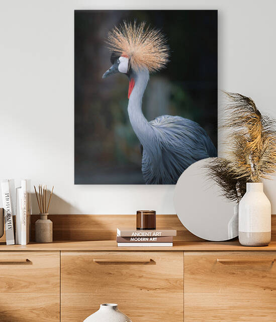 AfricanCrowned  Crane by Ercan Ekinci