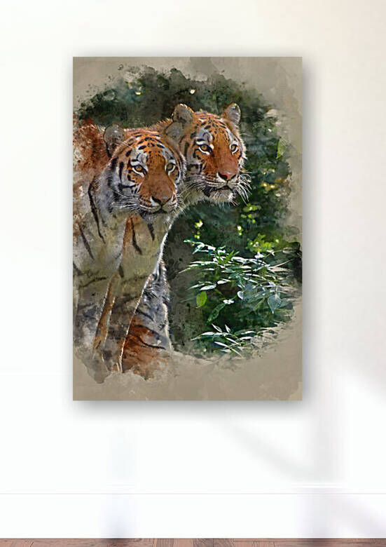 Watercolour painting of Bengal tiger panthera tigris tigris by Matthew Gibson