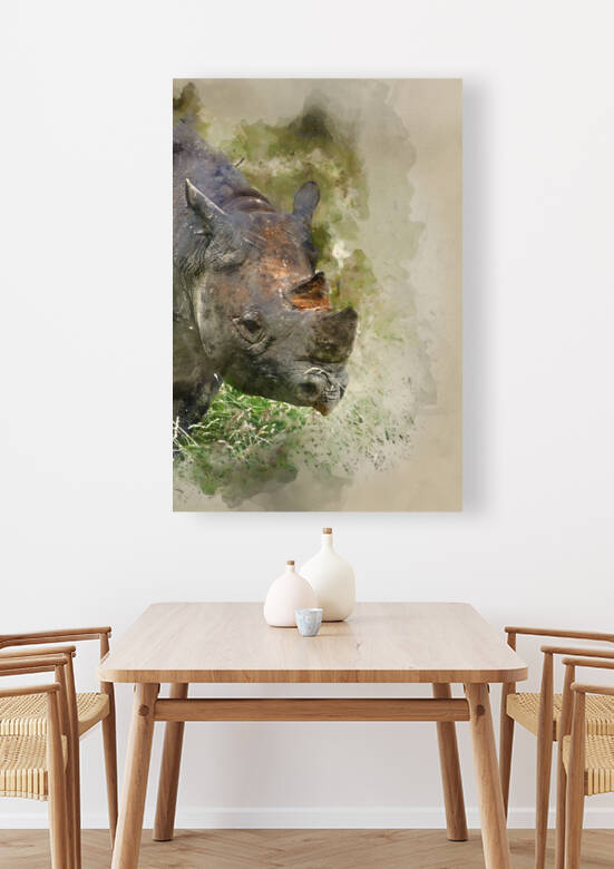 Watercolor painting of Black rhinoceros diceros bicornis michael by Matthew Gibson
