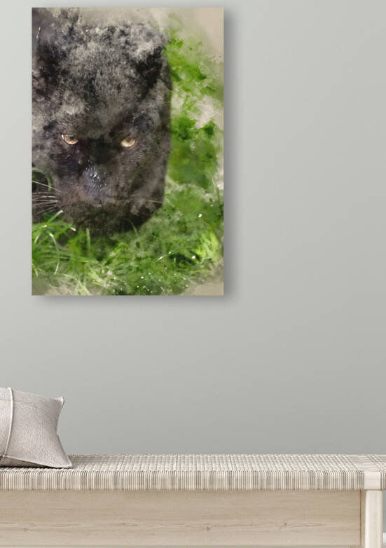 Watercolour painting of Black leopard Panthera Pardus prowling t by Matthew Gibson