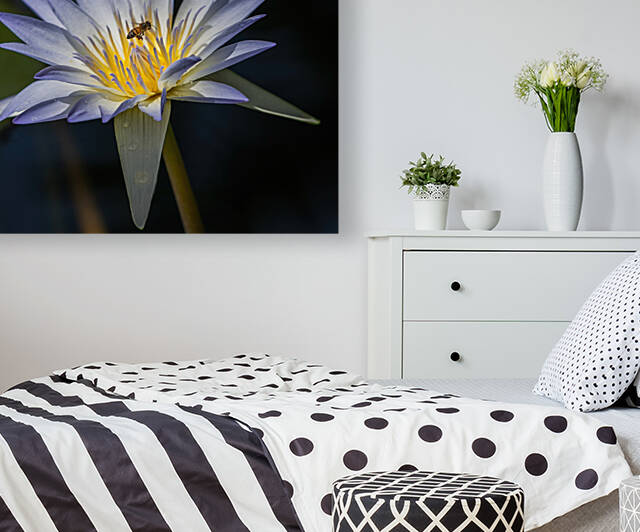  Water Lilies by Ercan Ekinci