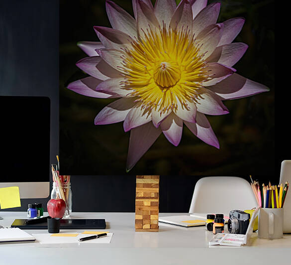    Water Lilies  by Ercan Ekinci