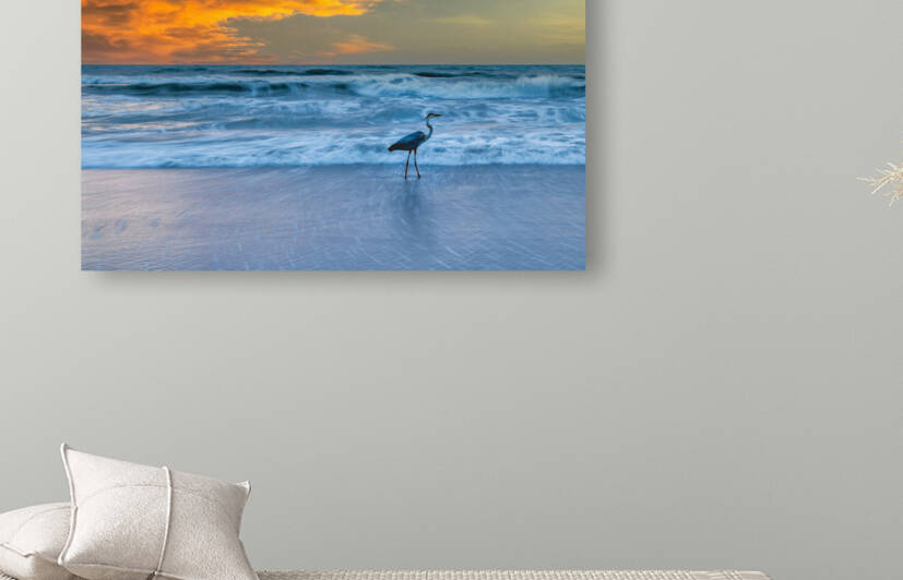  SOUTH PATRICK SHORES  by Ercan Ekinci