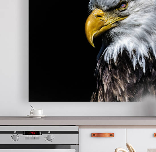 Eagle on Black by Darryl Brooks