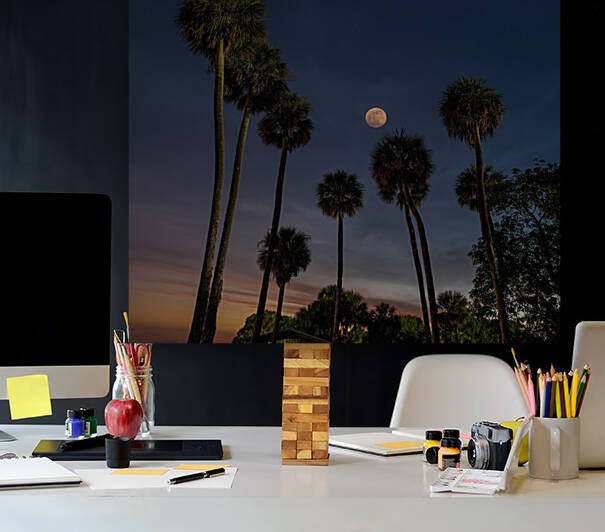 MOONRISE at LAKE WASHINGTON by Ercan Ekinci