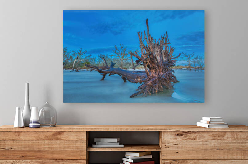 Driftwood Beach by Ercan Ekinci