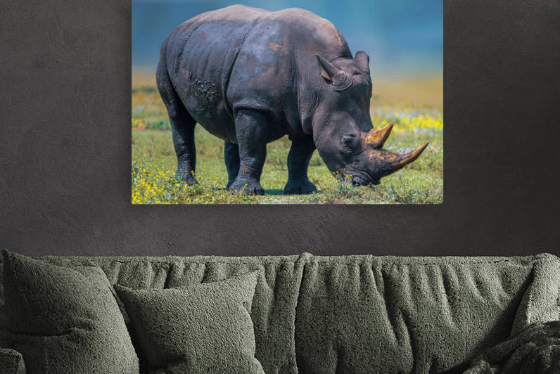 RHINO by Ercan Ekinci