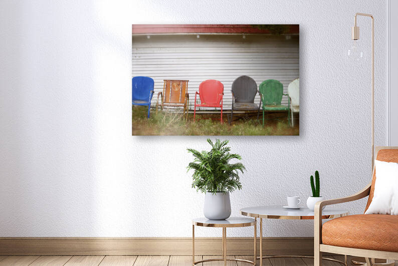 The Spectators by Tricia Greaves