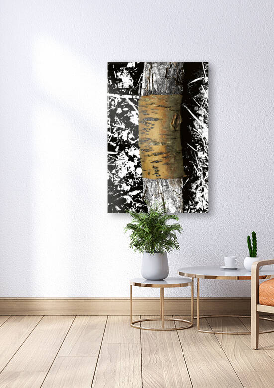 Bark Wrap by Tricia Greaves