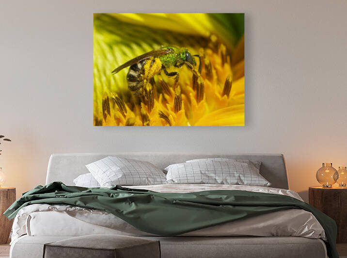 Bright Metallic Green Sweet Sweat Bee by Iris H Richardson
