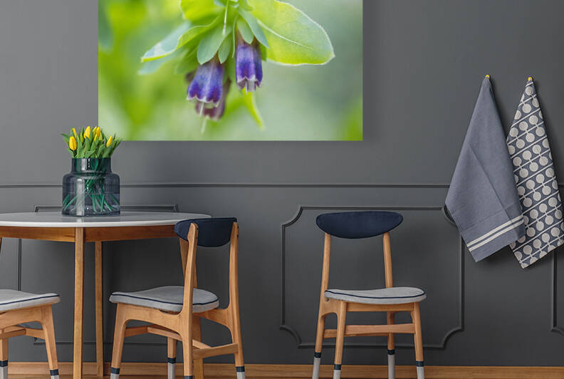 Purple Honeywort Flower by Iris H Richardson