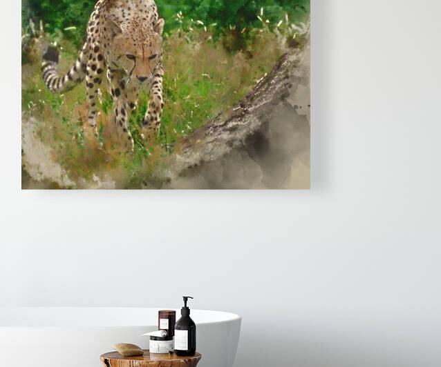 Watercolor painting of Cheetah Acinonyx Jubatus Big Cat  by Matthew Gibson