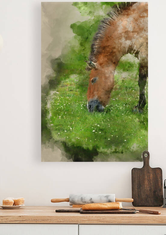 Watercolor painting of Przewaski horse equus ferus przwealski by Matthew Gibson