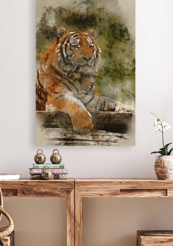 Watercolor painting of Stunning close up image of tiger relaxing by Matthew Gibson