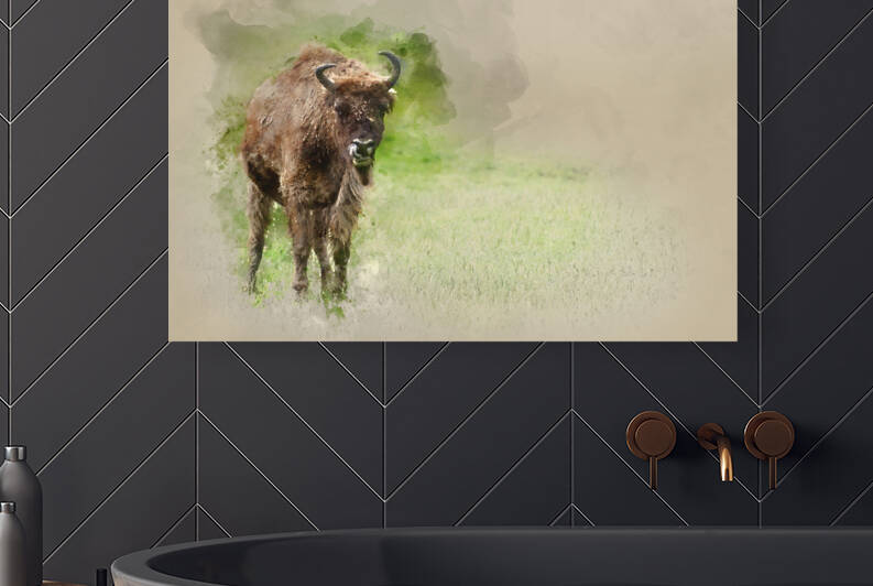 Watercolor painting of European bison bison bonasus cardus linu by Matthew Gibson