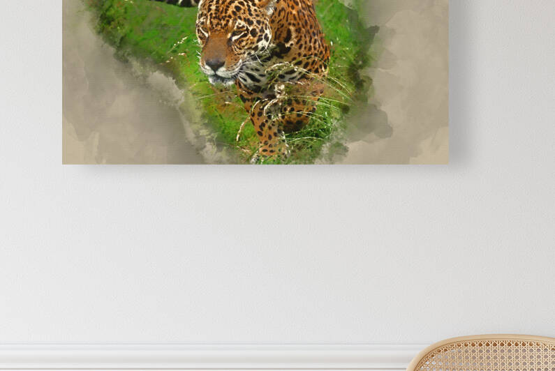 Watercolour painting of Stunning jaguar Panthera Onca prowling t by Matthew Gibson