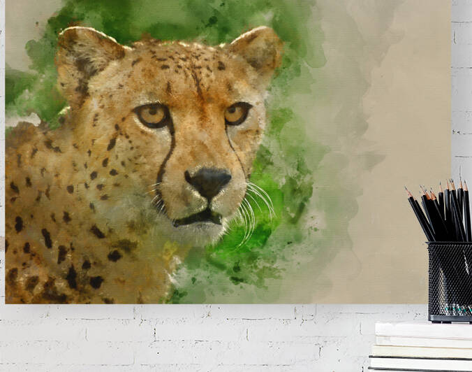 Watercolour painting of Cheetah Acinonyx Jubatus Big Cat  by Matthew Gibson
