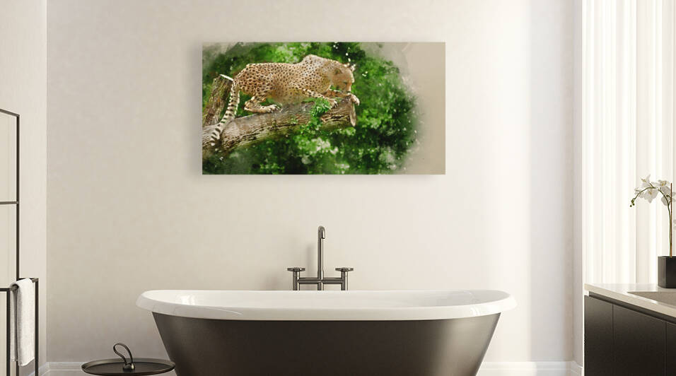 Cheetah Acinonyx Jubatus Big Cat  by Matthew Gibson