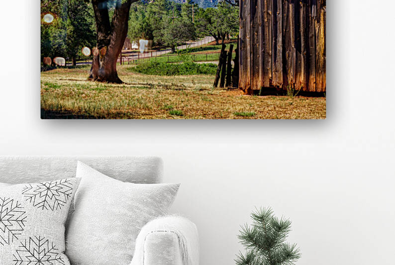 Old Barn Payson Arizona by Eduardo Palazuelos