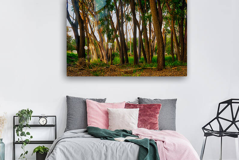 Oak Tree Canyon by Eduardo Palazuelos