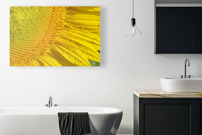 Sunflower Head Right Macro by Iris H Richardson