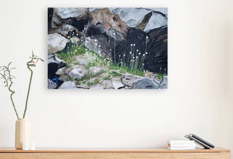 Common Pipewort Painting by Stephen Emms