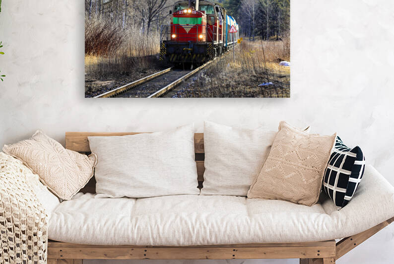 Two VR Group Diesel Locomotives in front of Freight Train by Taina Sohlman