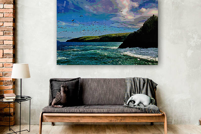 CHANNEL ISLANDS NATIONAL PARK  ANNACAPPA ISLAND   by LES MAYERS 