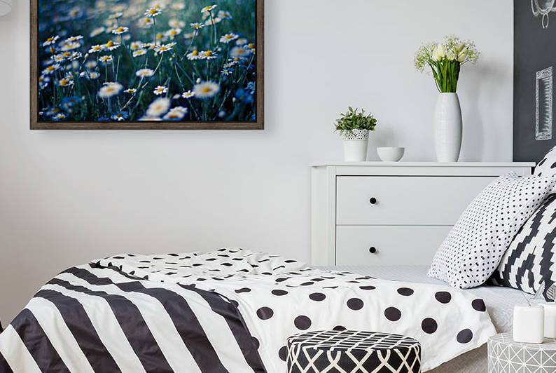 Summer, spring daisy field by icemanphotos