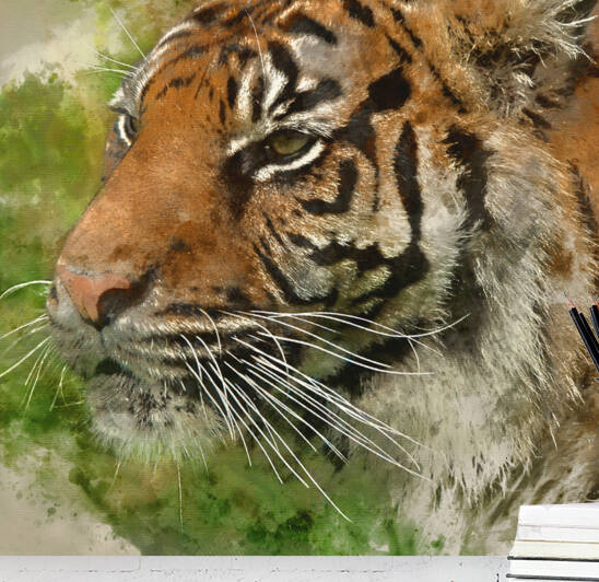 Digital watercolor painting of Beautiful portrait of tiger Panth by Matthew Gibson