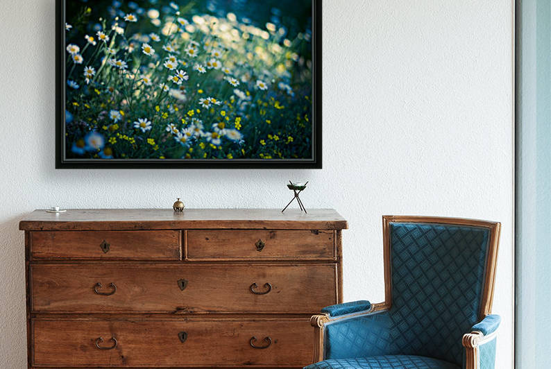 Summer, spring daisy field by icemanphotos