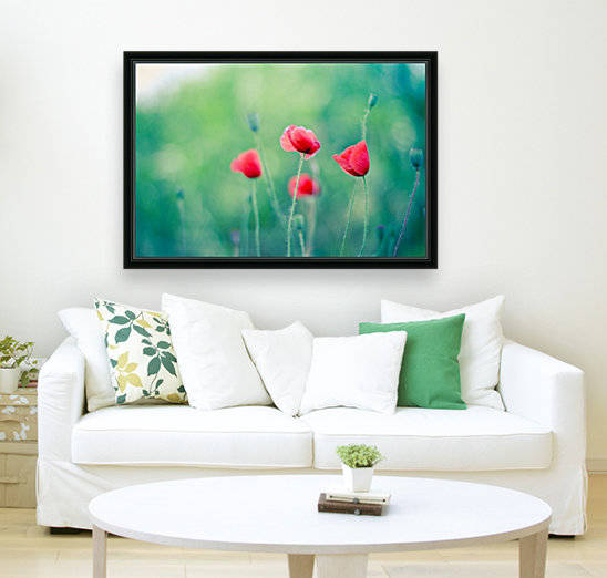 Summer poppy flowers by icemanphotos