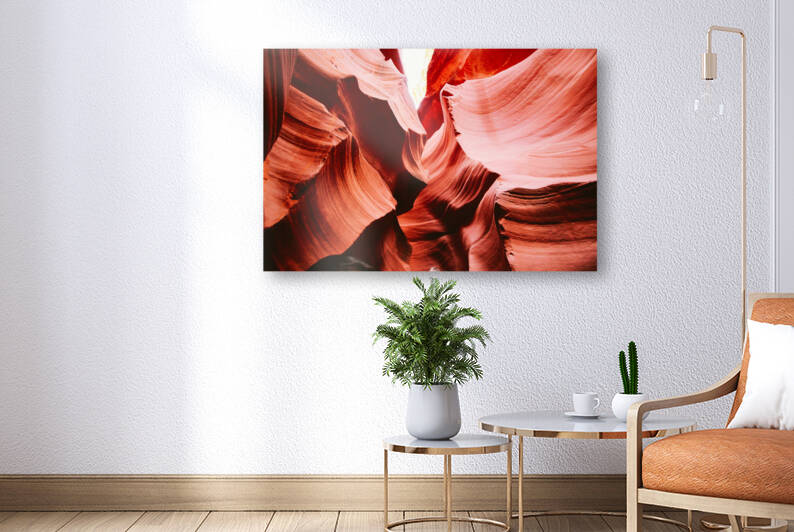 Curious by Corey Ribotsky